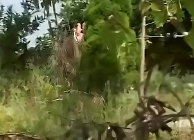 Chinese eastern copulation 1