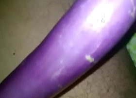 Shonu brinjled indian