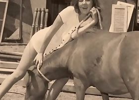 Output Taboo, Pussy & Pooch